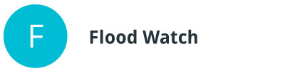Link Flood Watch. 
