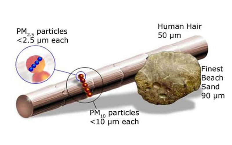 PM10 particles in contrast with human hair diagram. 