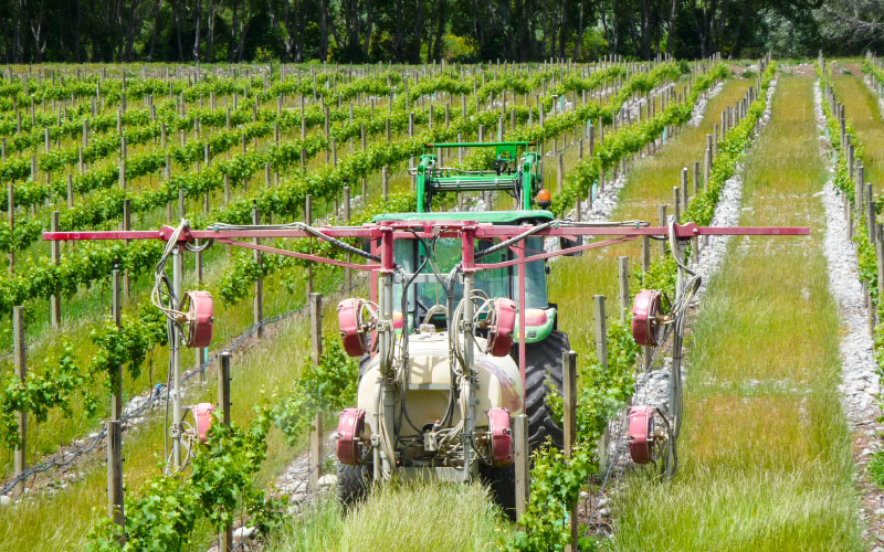 Spray drift in vineyard by tractor. 