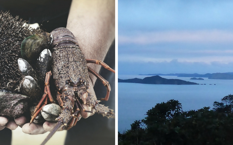 Holding kaimoana [seafood] (L).  A dusky view of the Marlborough Sounds (R).