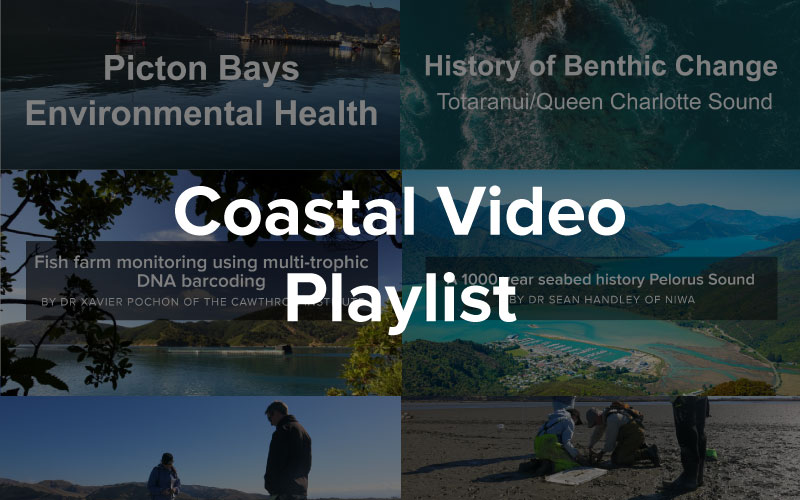 Coastal video playlist