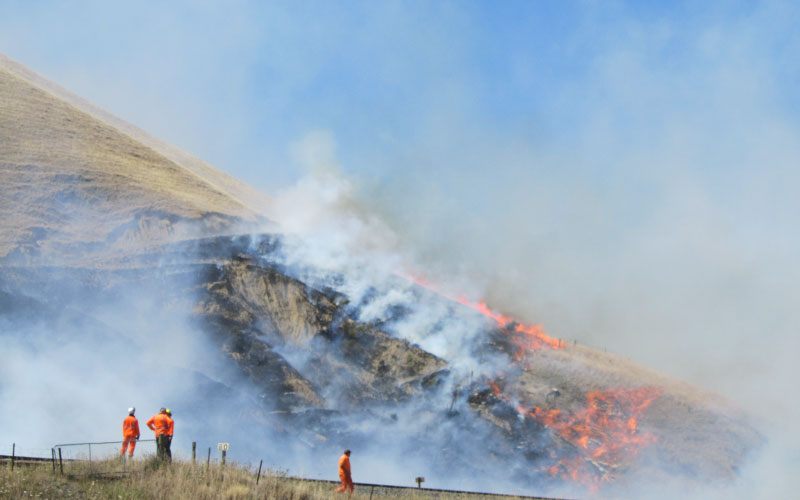 Firefighters battling blaze on hill. 