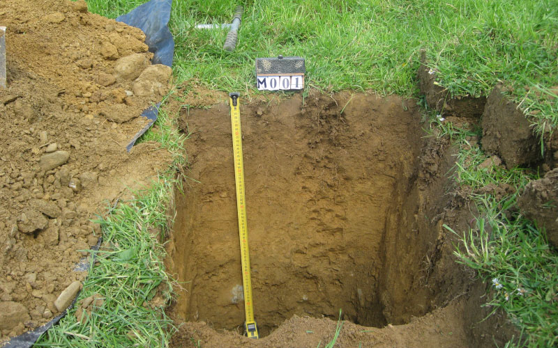 Soil sample of the Kaituna/Havelock and Linkwater Districts. 
