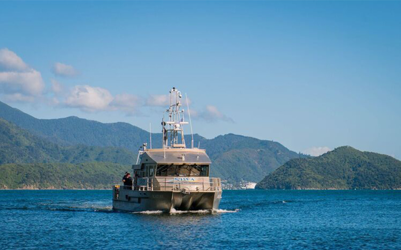 Queen Charlotte Sound / Totaranui seabed mapping