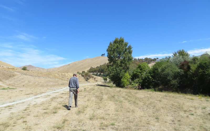 The Wither Hills in drought conditions. 