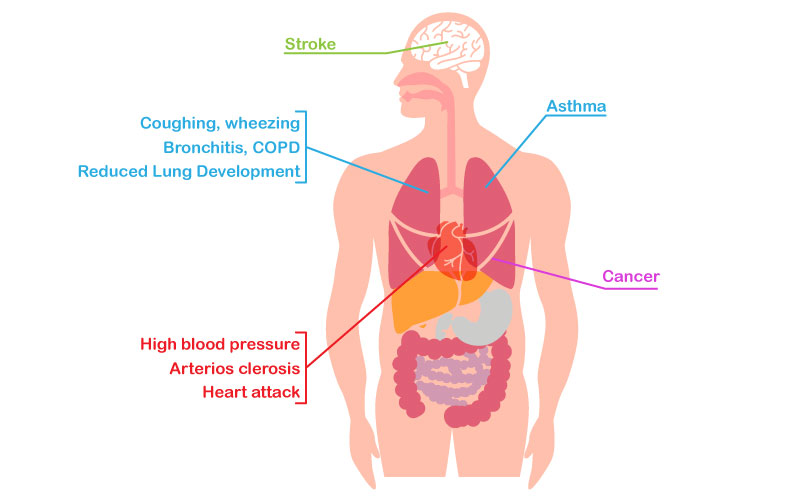 Health effects of PM10 shown on body parts of a human body affected. 